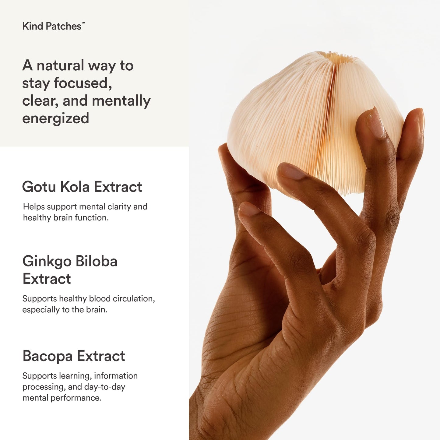 Kind Patches | Brainpower Patches | Mental Focus & Cognitive Function | Plant-Based Formula with Lion's Mane Mushroom | 30 Vegan Patches